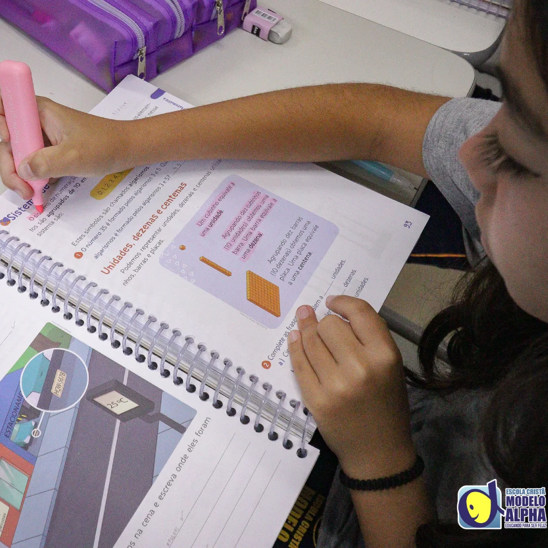 Ensino Fundamental (5)