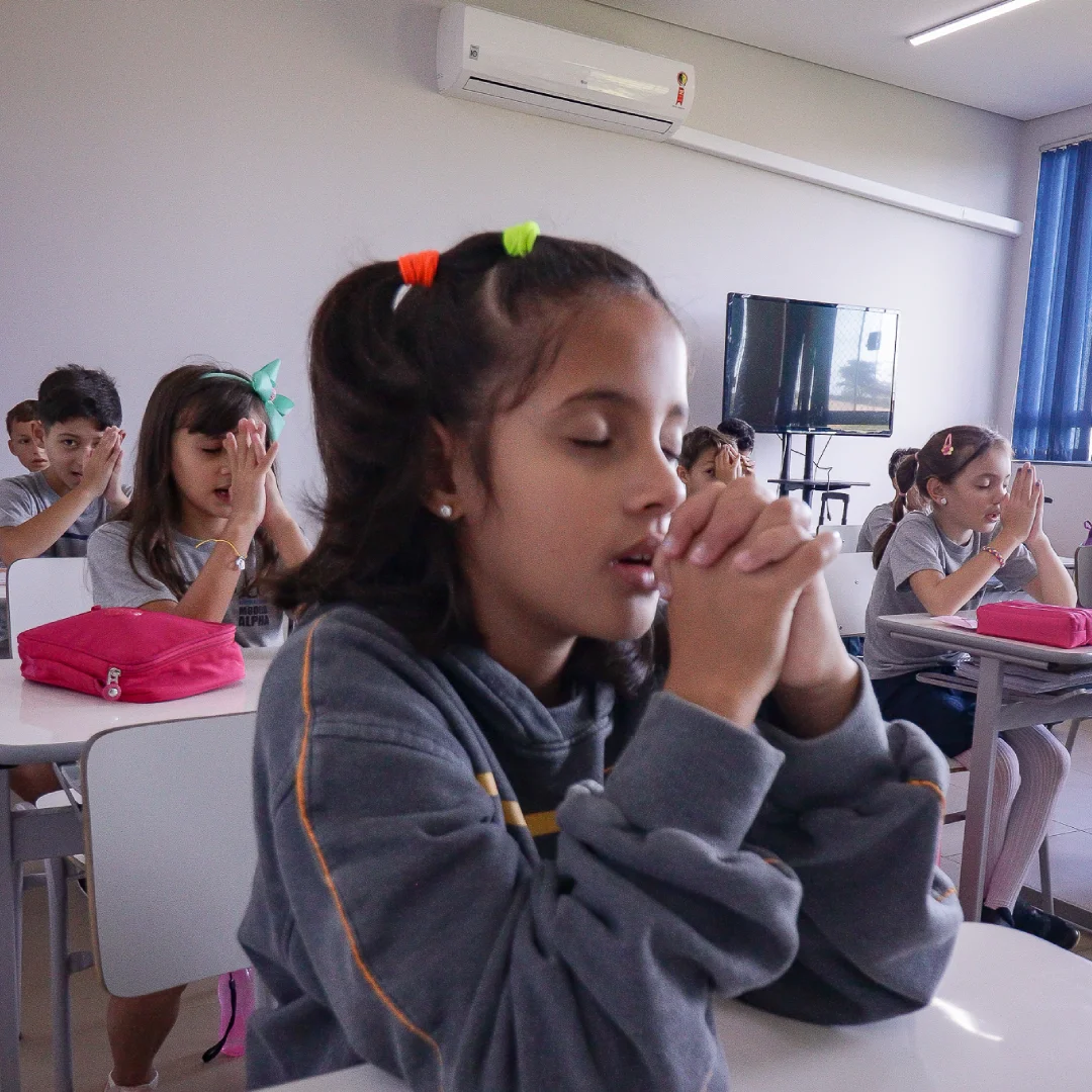 Ensino Fundamental (9)